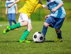 重金属检测,规范与检测,内容概览,米博体育平台,米博体育官方网站,米博体育登录入口,米博体育app下载