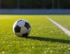 世预赛第,轮巴西阿根,廷比赛国际,米博体育平台,米博体育官方网站,米博体育登录入口,米博体育app下载