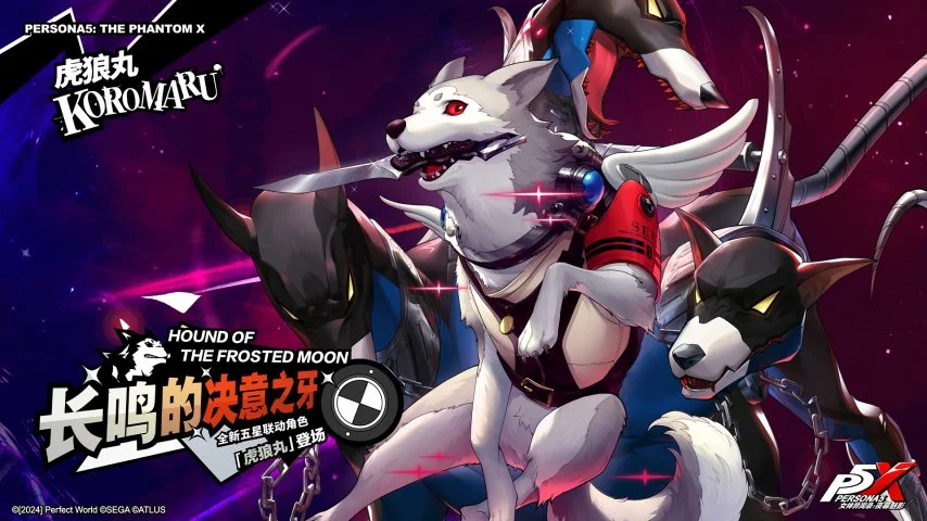 大乐透期号,专家质合分,前区十码推,米博体育平台,米博体育官方网站,米博体育登录入口,米博体育app下载