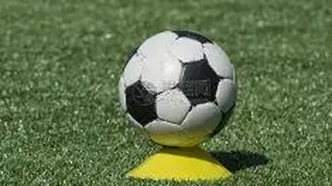 黄金解析：11月26日精华一句掌握市场动态